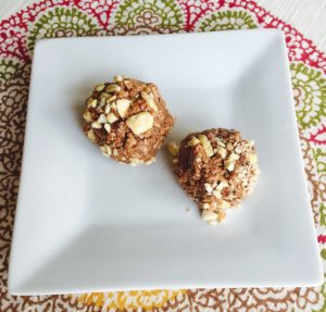 Protein Bites